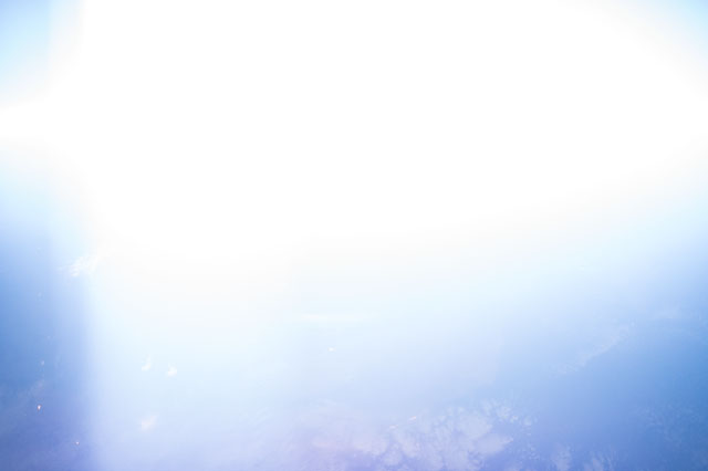 Browse image