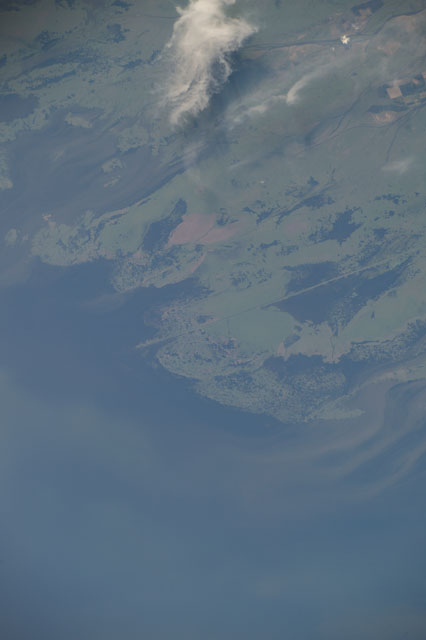 Browse image