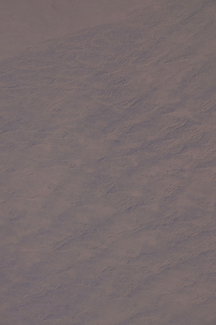 Browse image