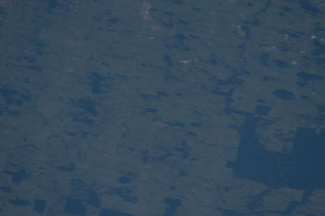 Browse image