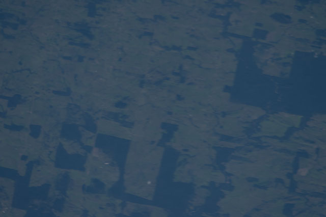 Browse image