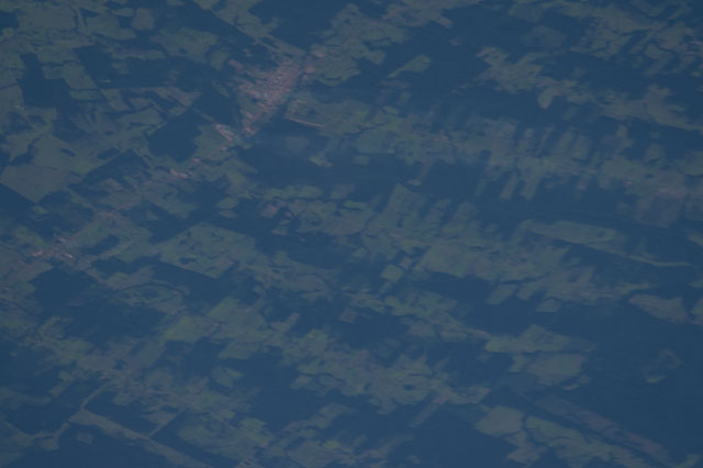 Browse image