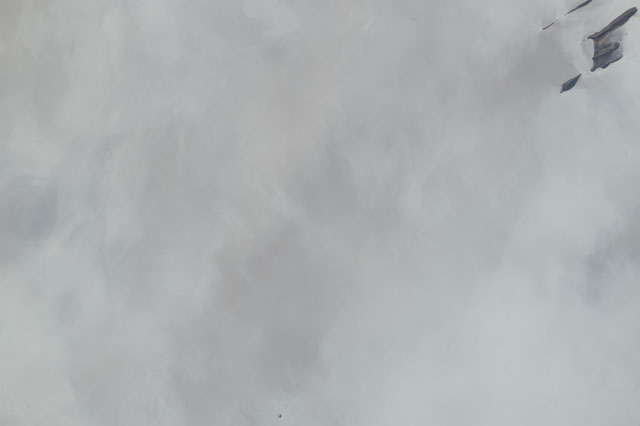 Browse image