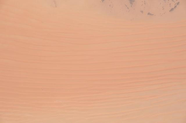Browse image
