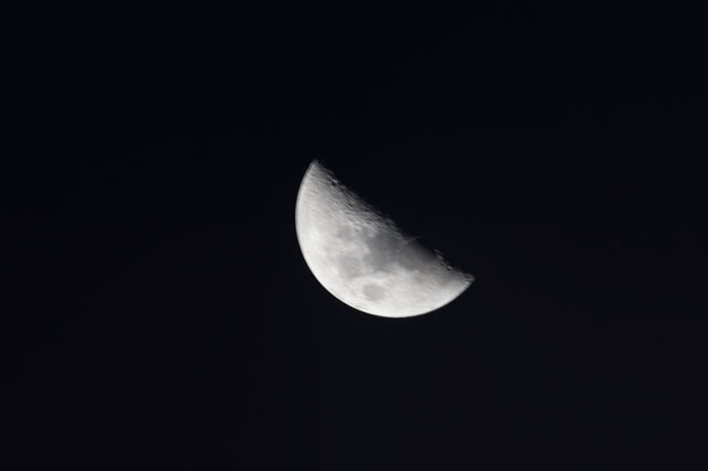 Browse image