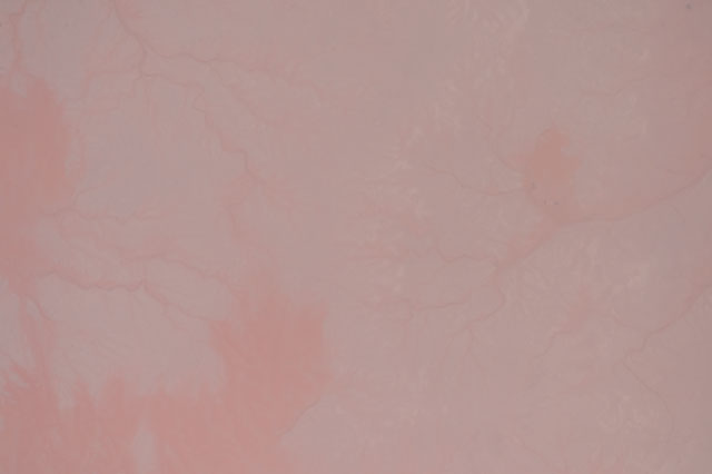 Browse image