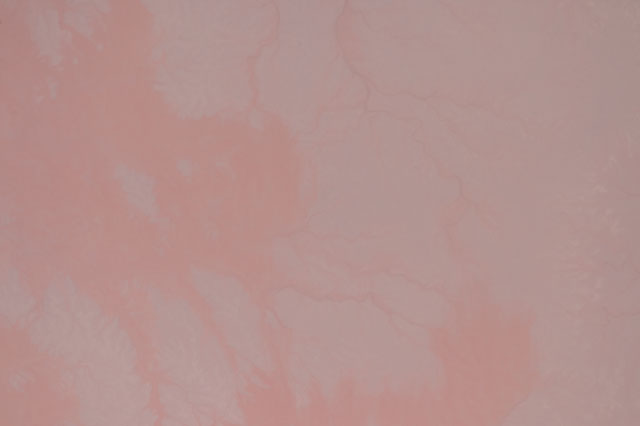 Browse image