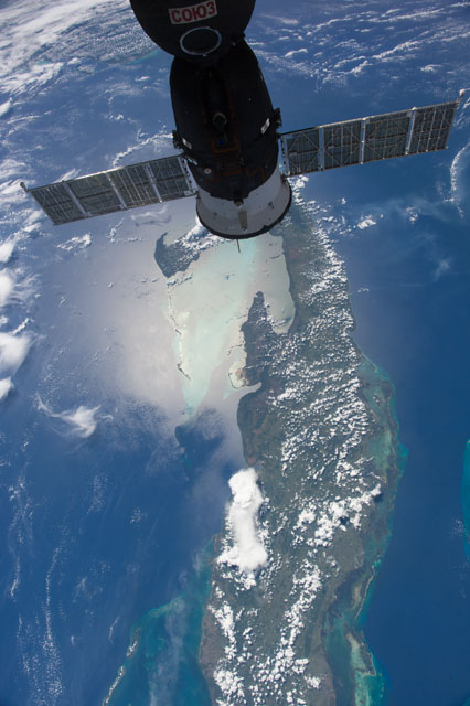 Browse image