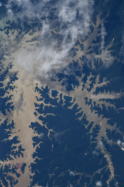 Browse image