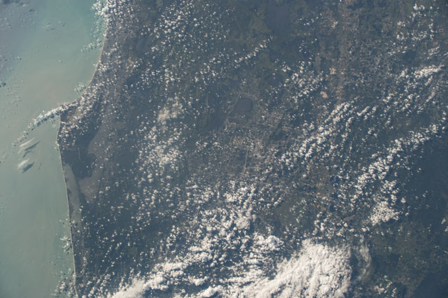 Browse image