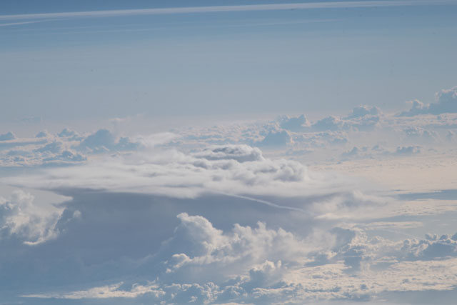 Browse image
