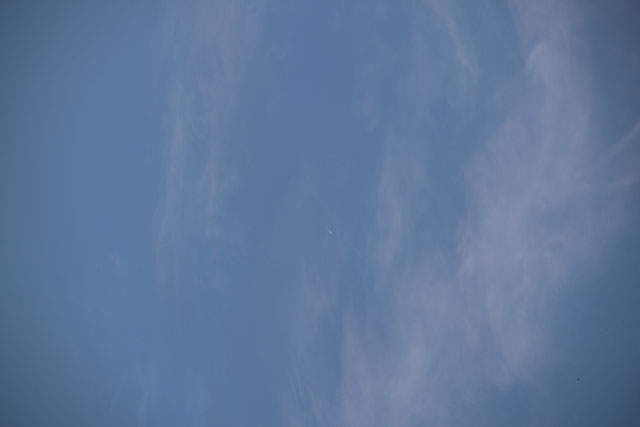 Browse image
