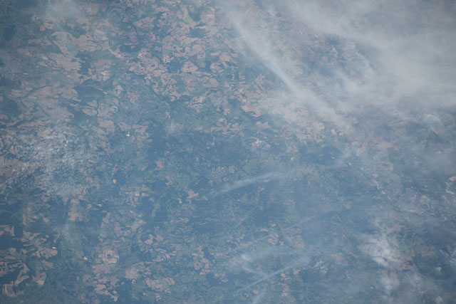 Browse image