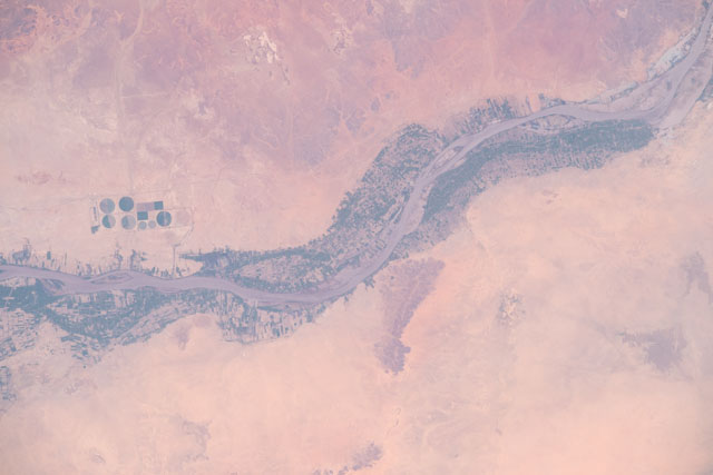Browse image