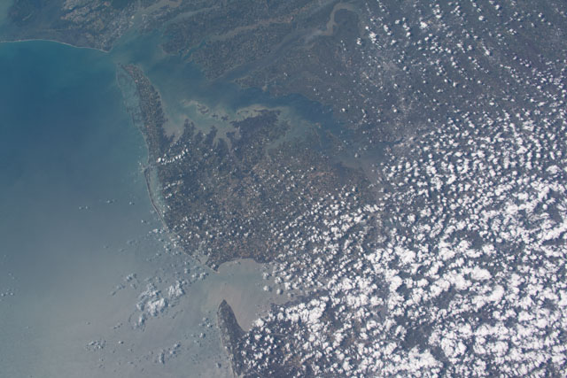 Browse image