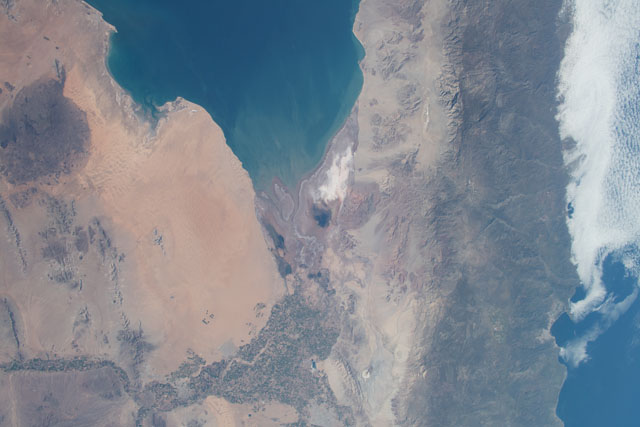 Browse image