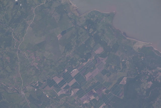 Browse image
