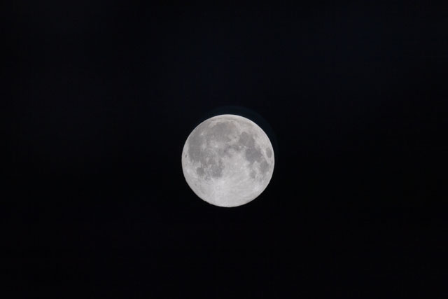 Browse image
