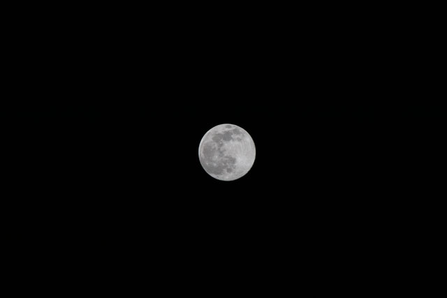 Browse image