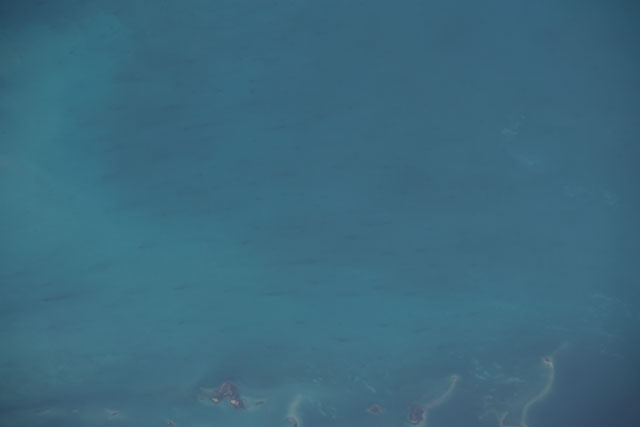 Browse image
