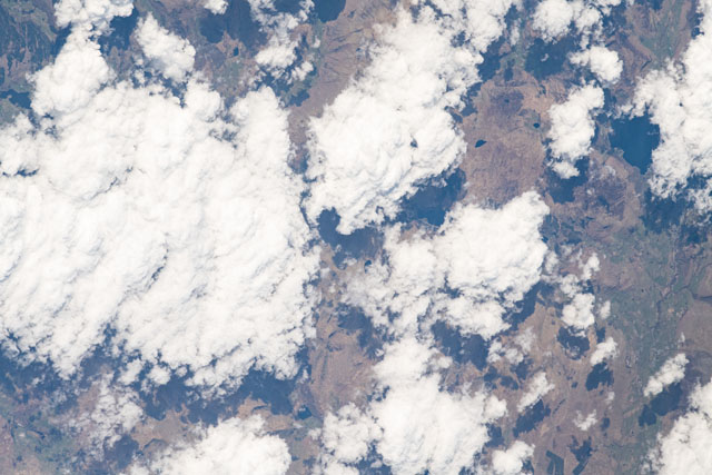 Browse image