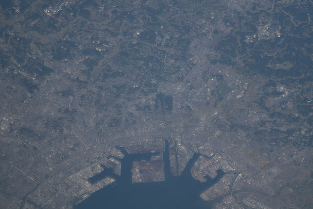 Browse image