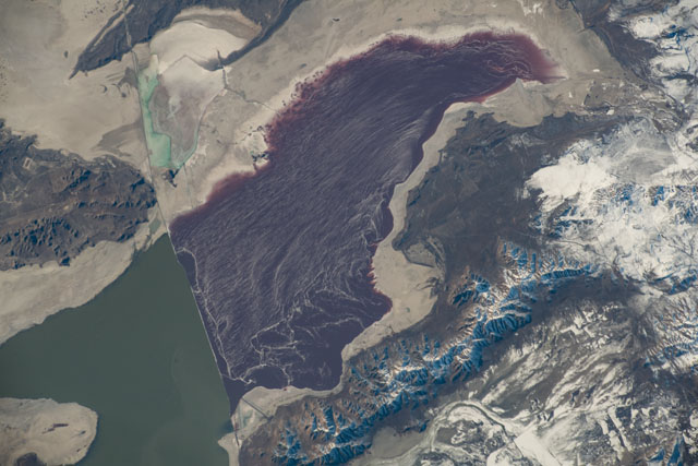 Browse image