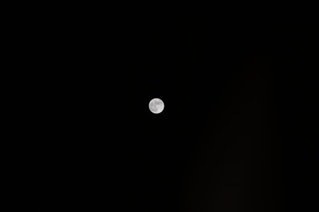 Browse image