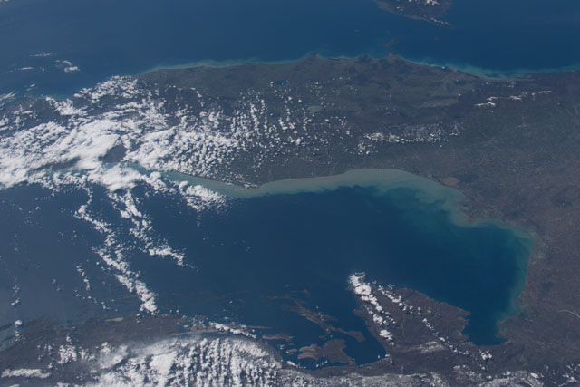 Browse image