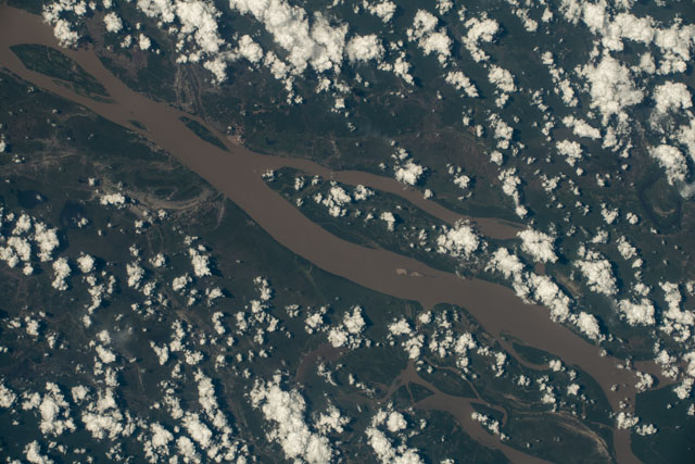 Browse image
