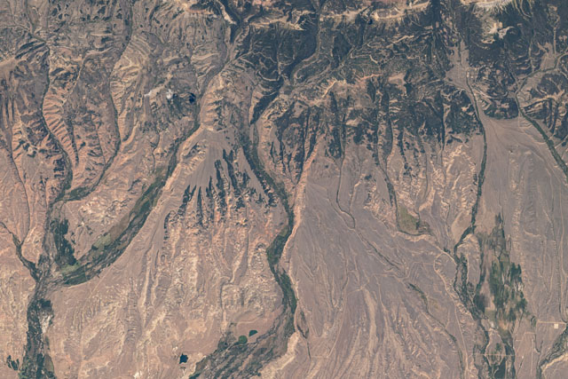 Browse image