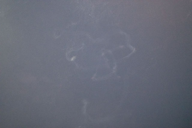 Browse image