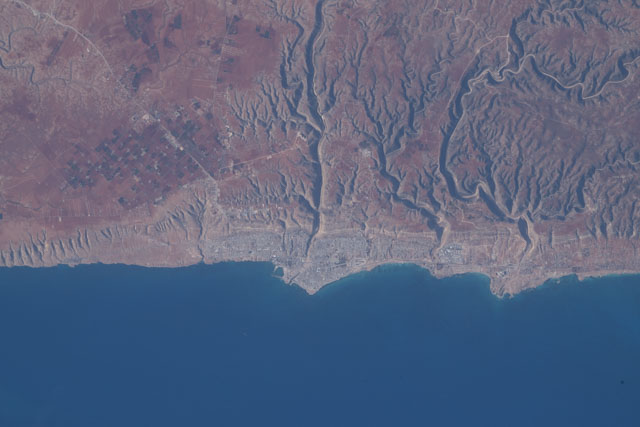 Browse image