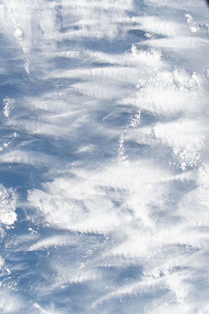 Browse image
