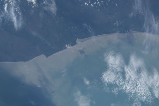 Browse image