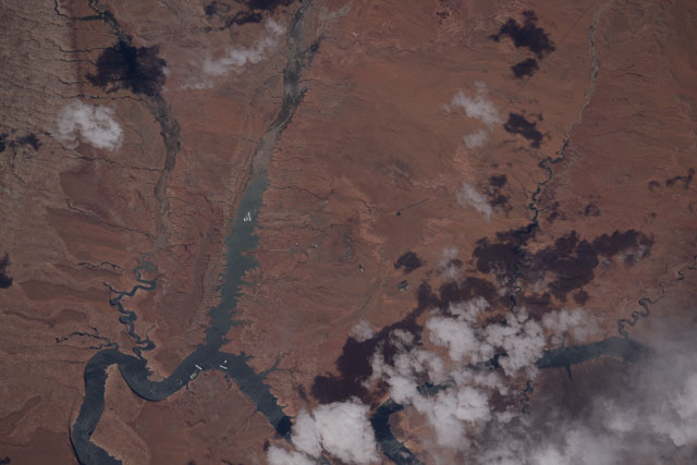 Browse image