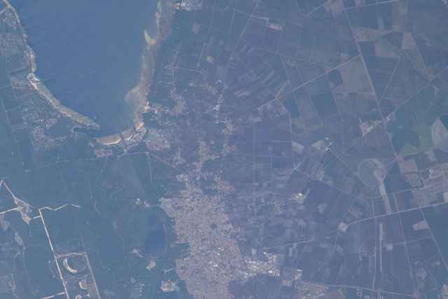 Browse image