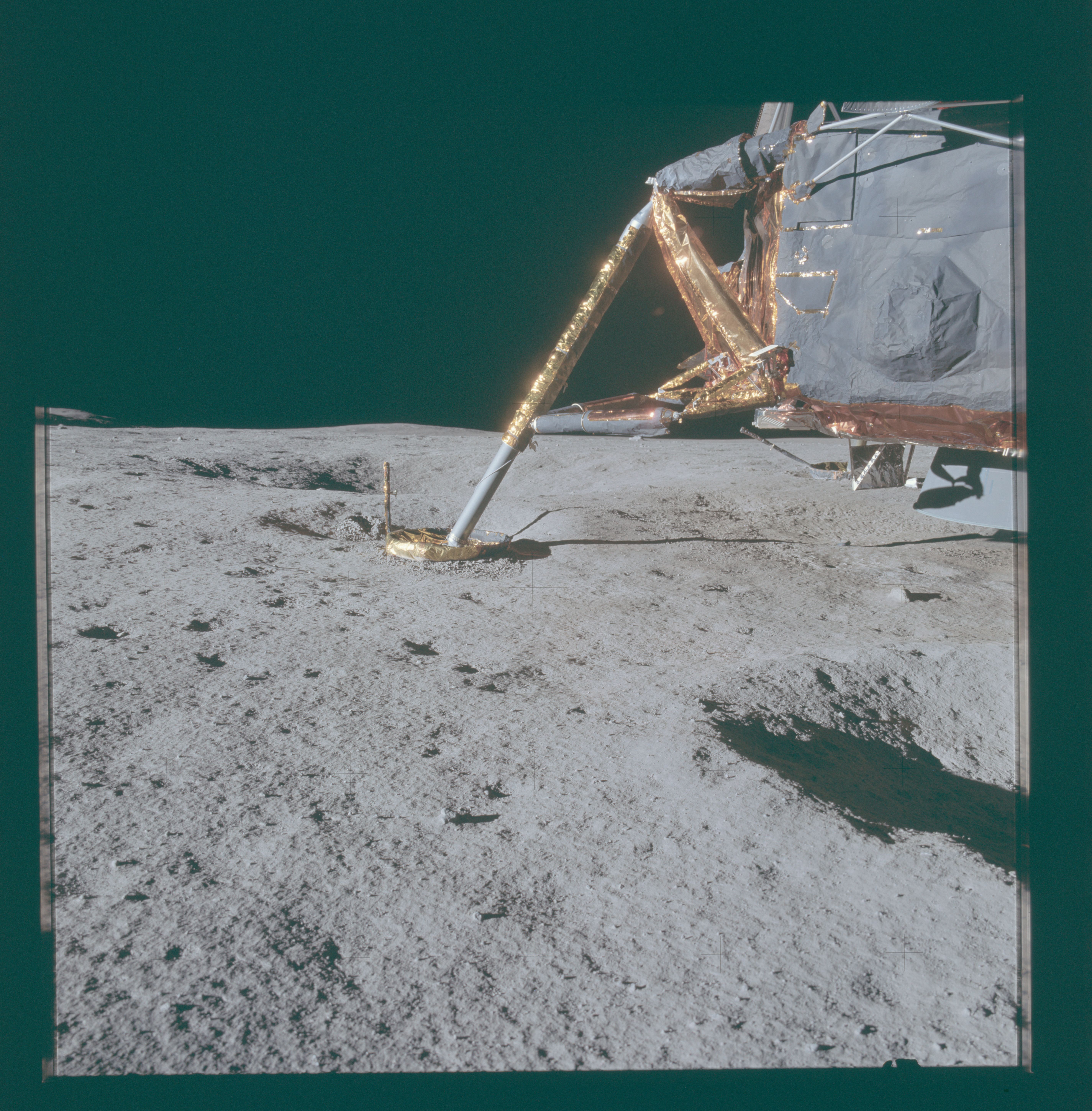 Image display