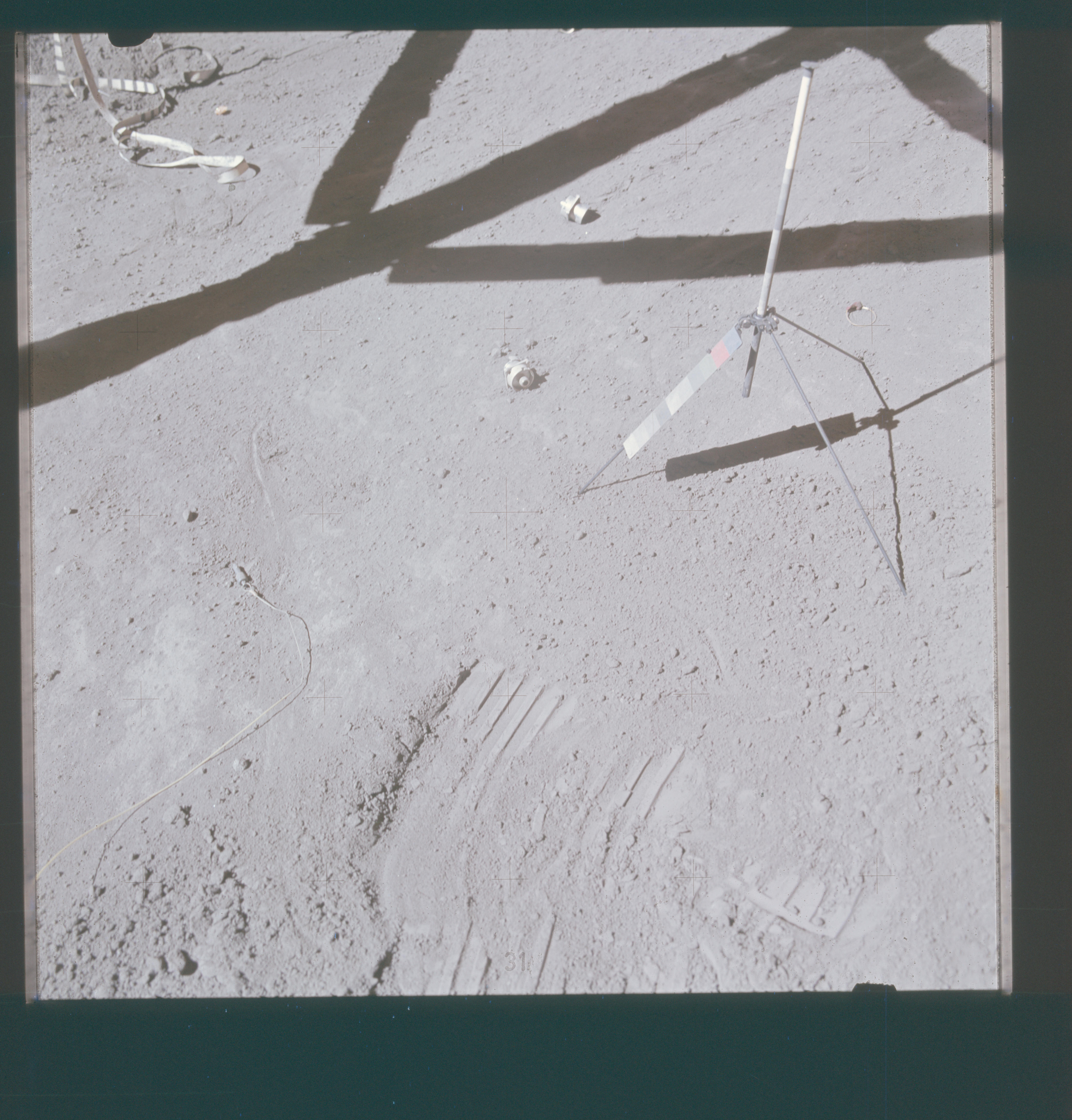 Image display