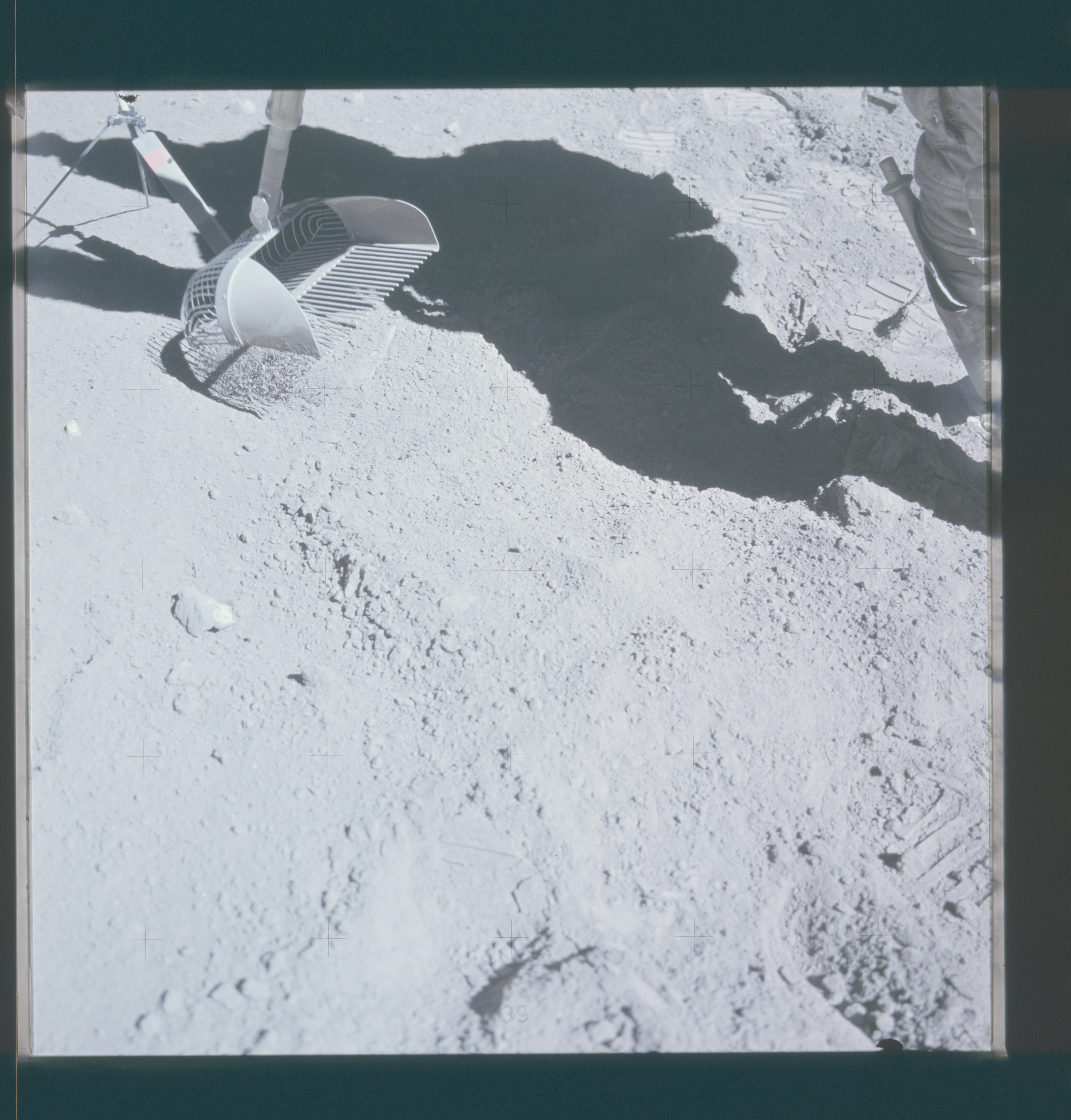 Image display