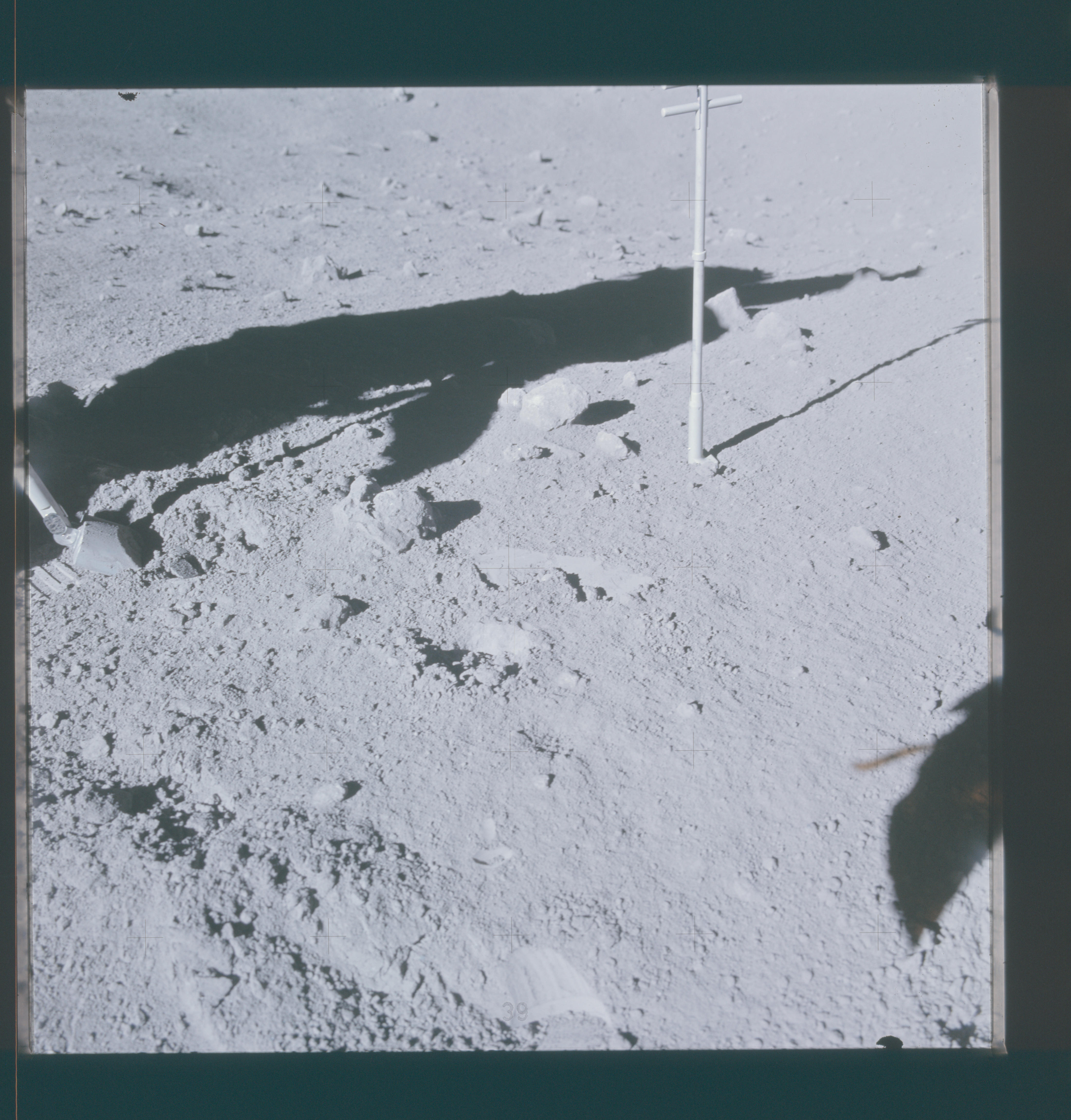 Image display