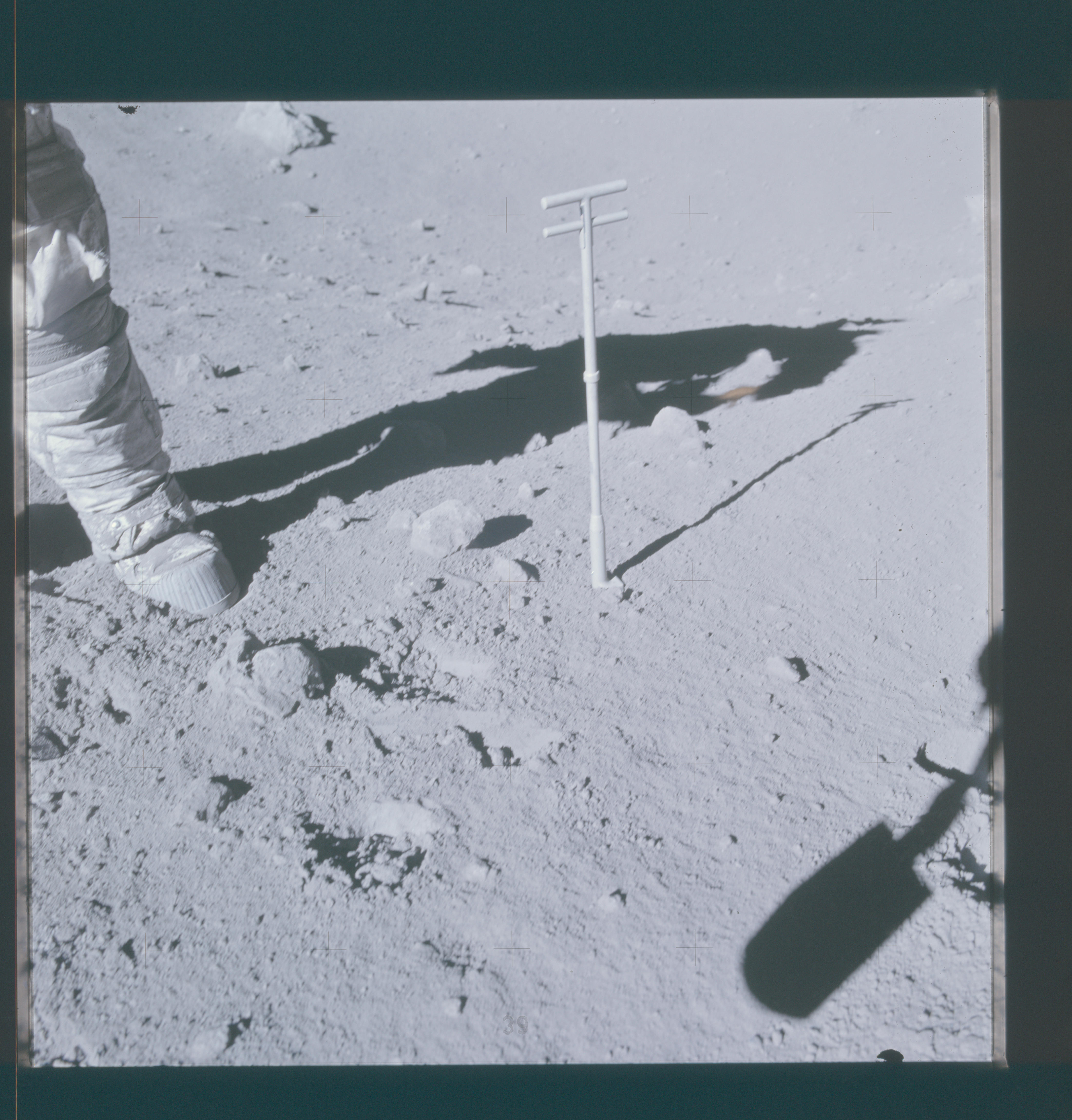 Image display