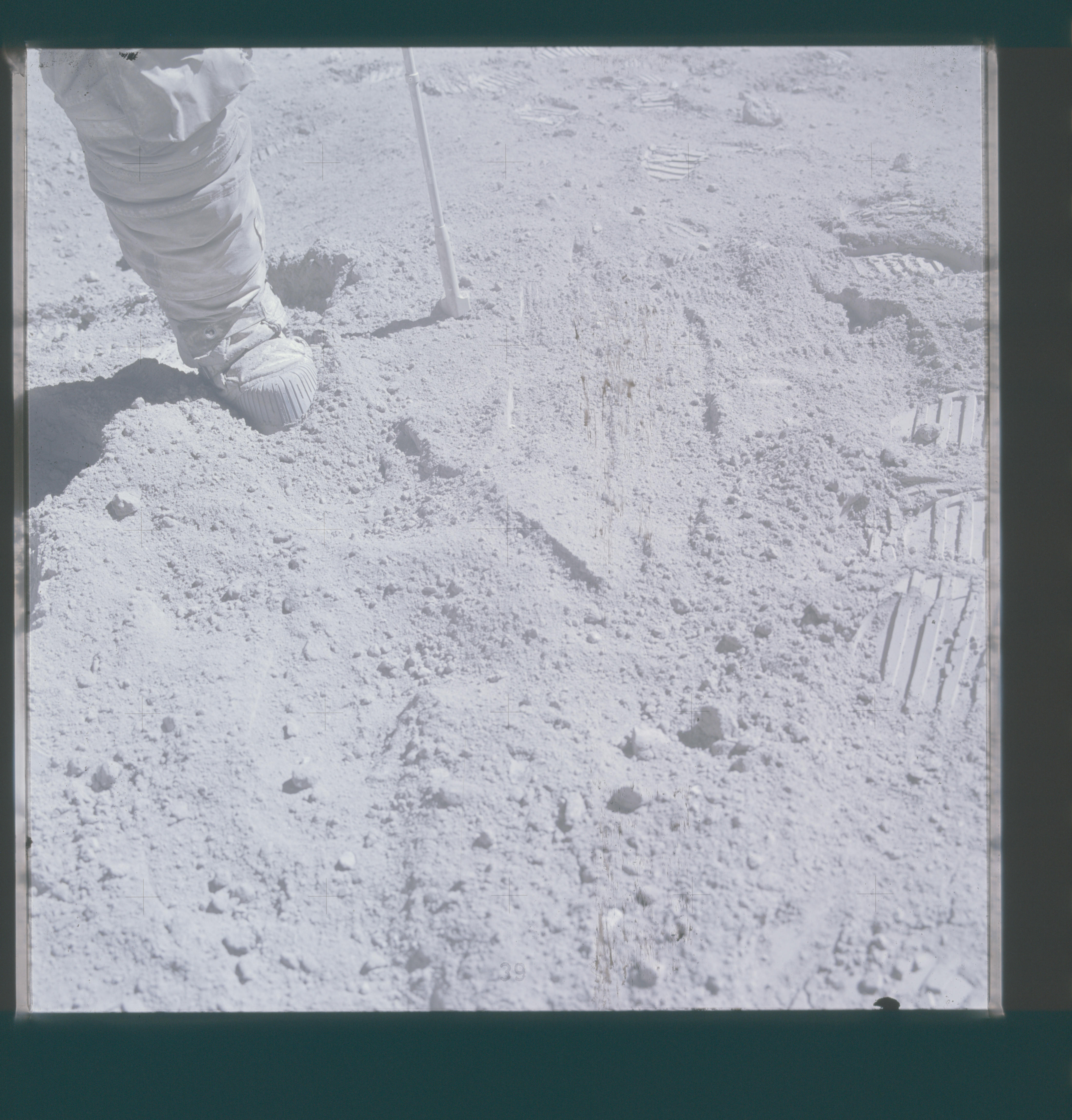 Image display
