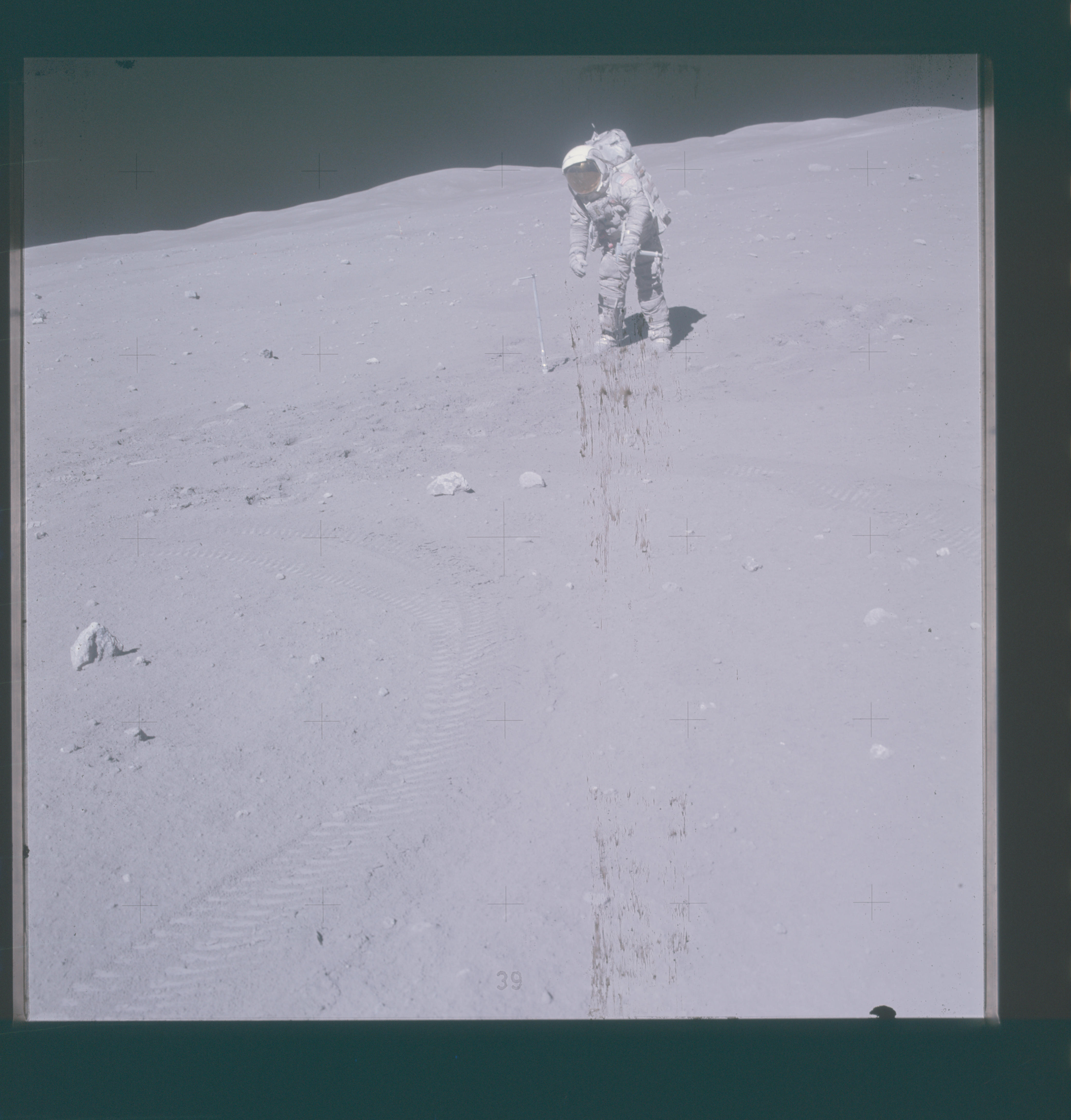 Image display