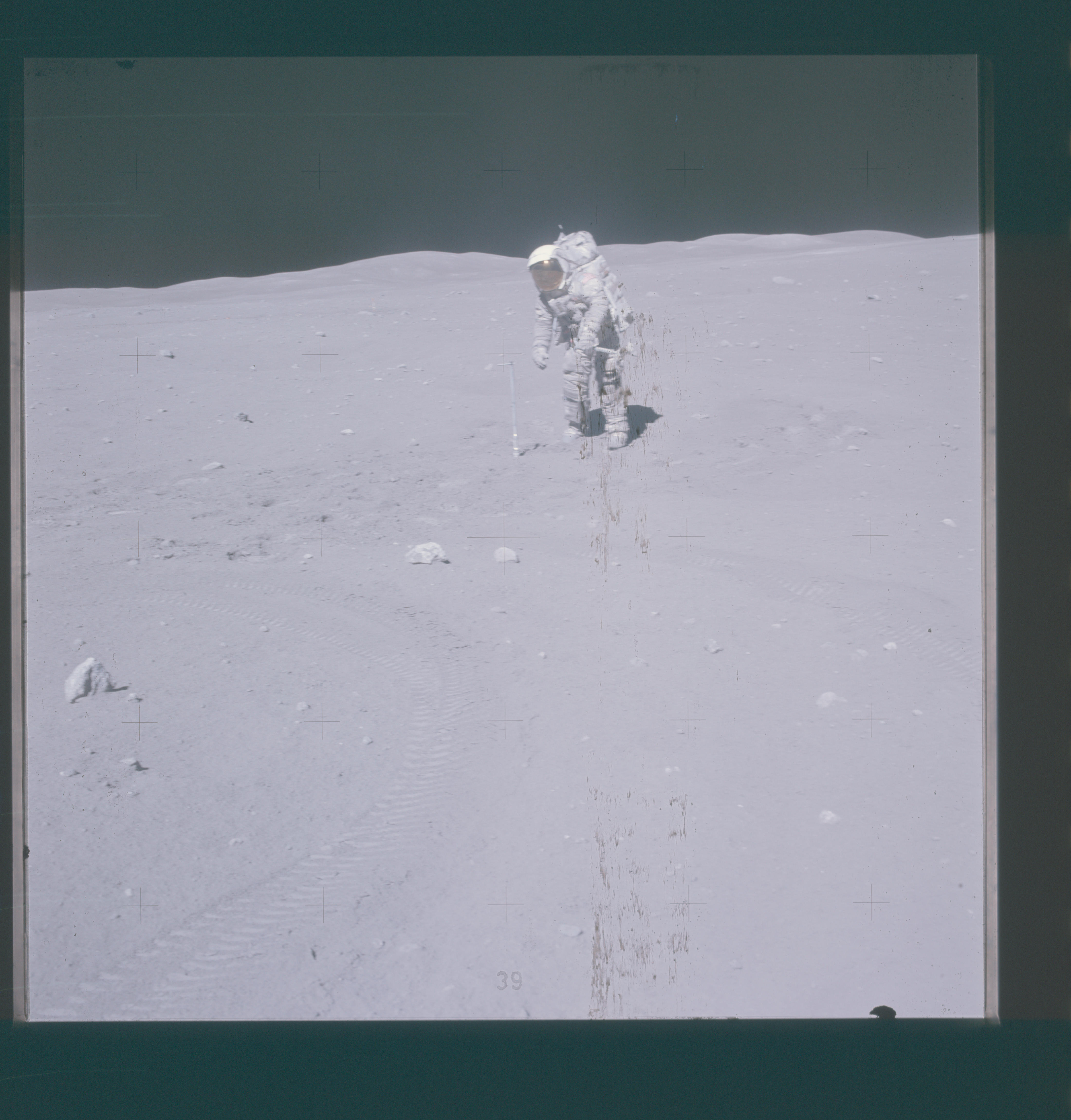 Image display