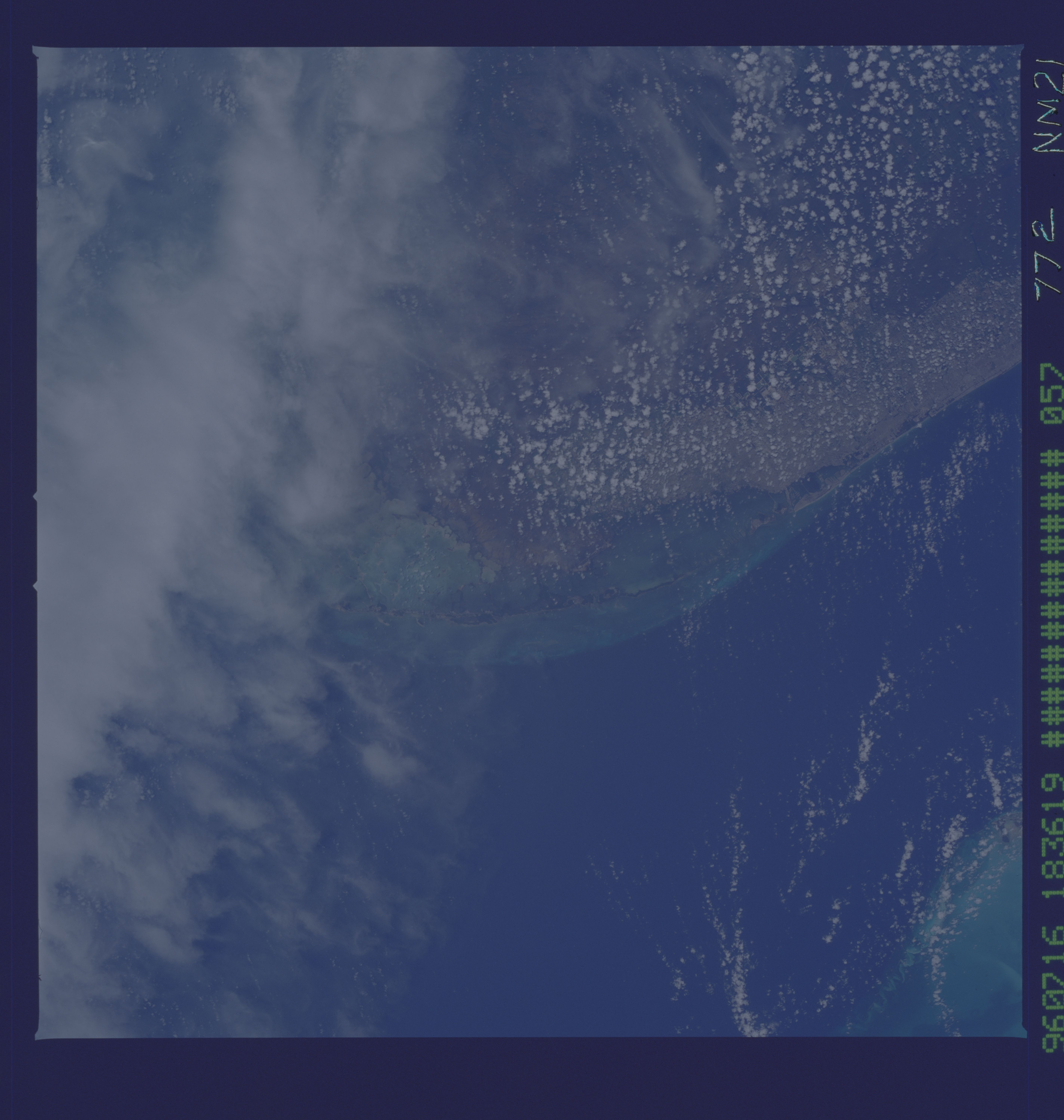 Image display