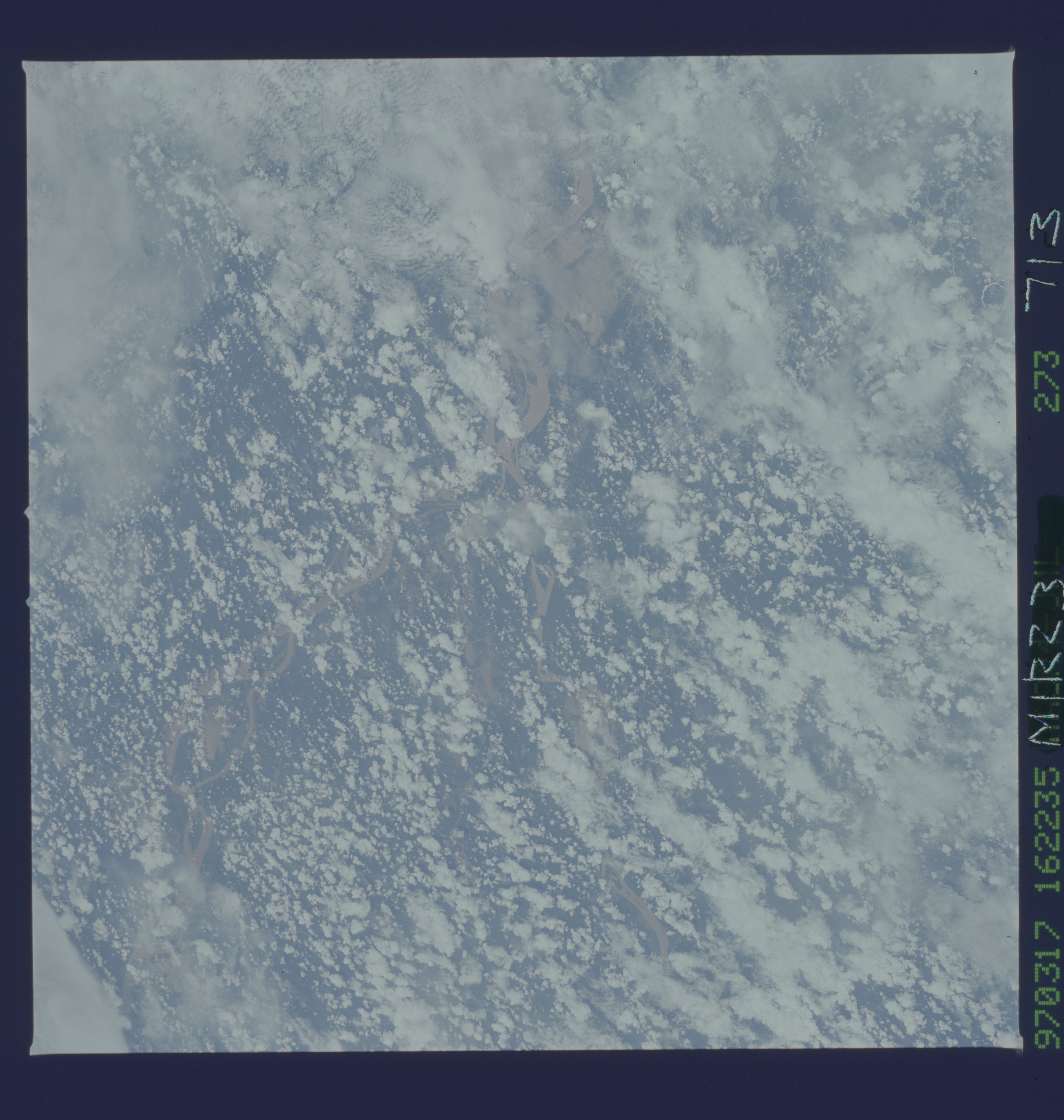 Image display