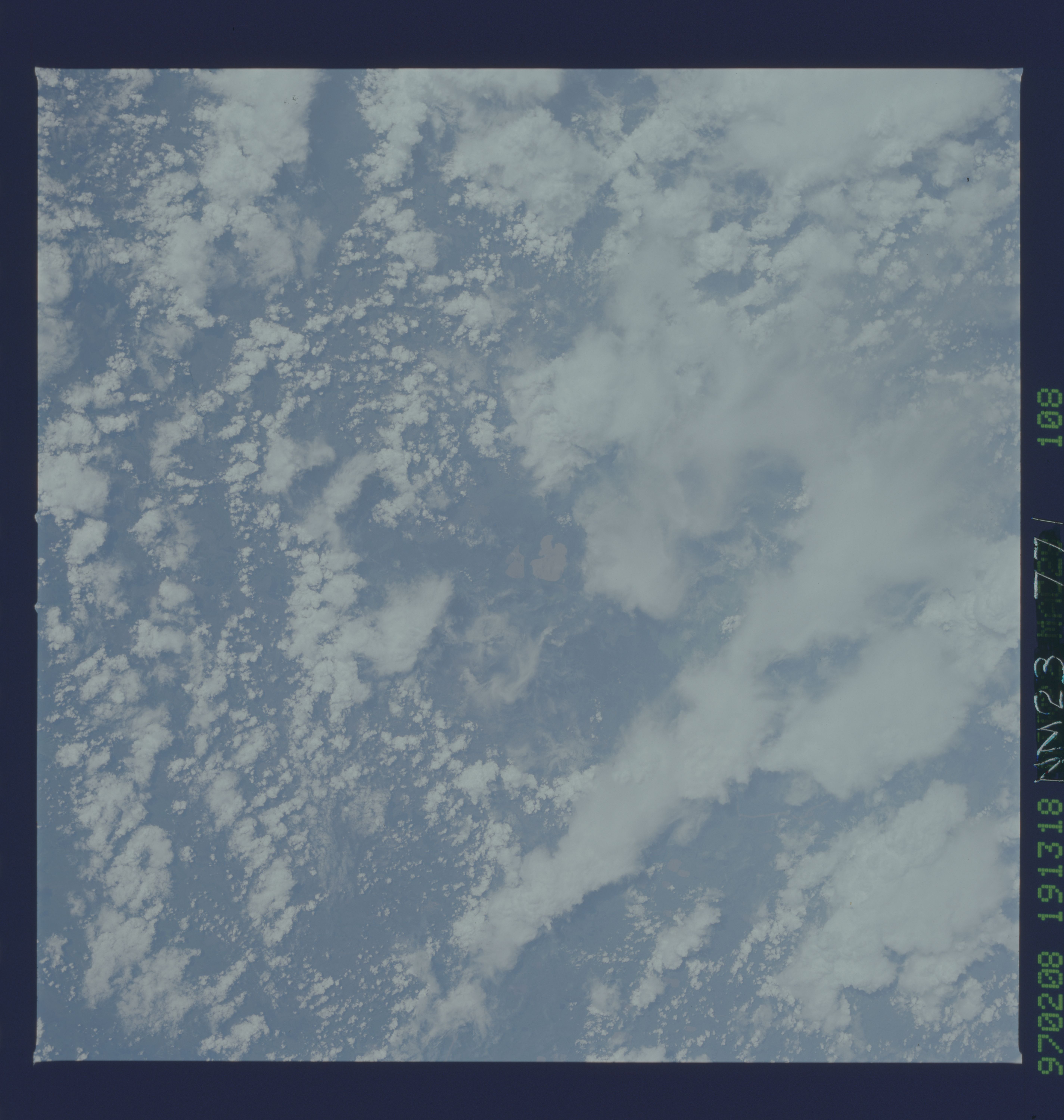 Image display