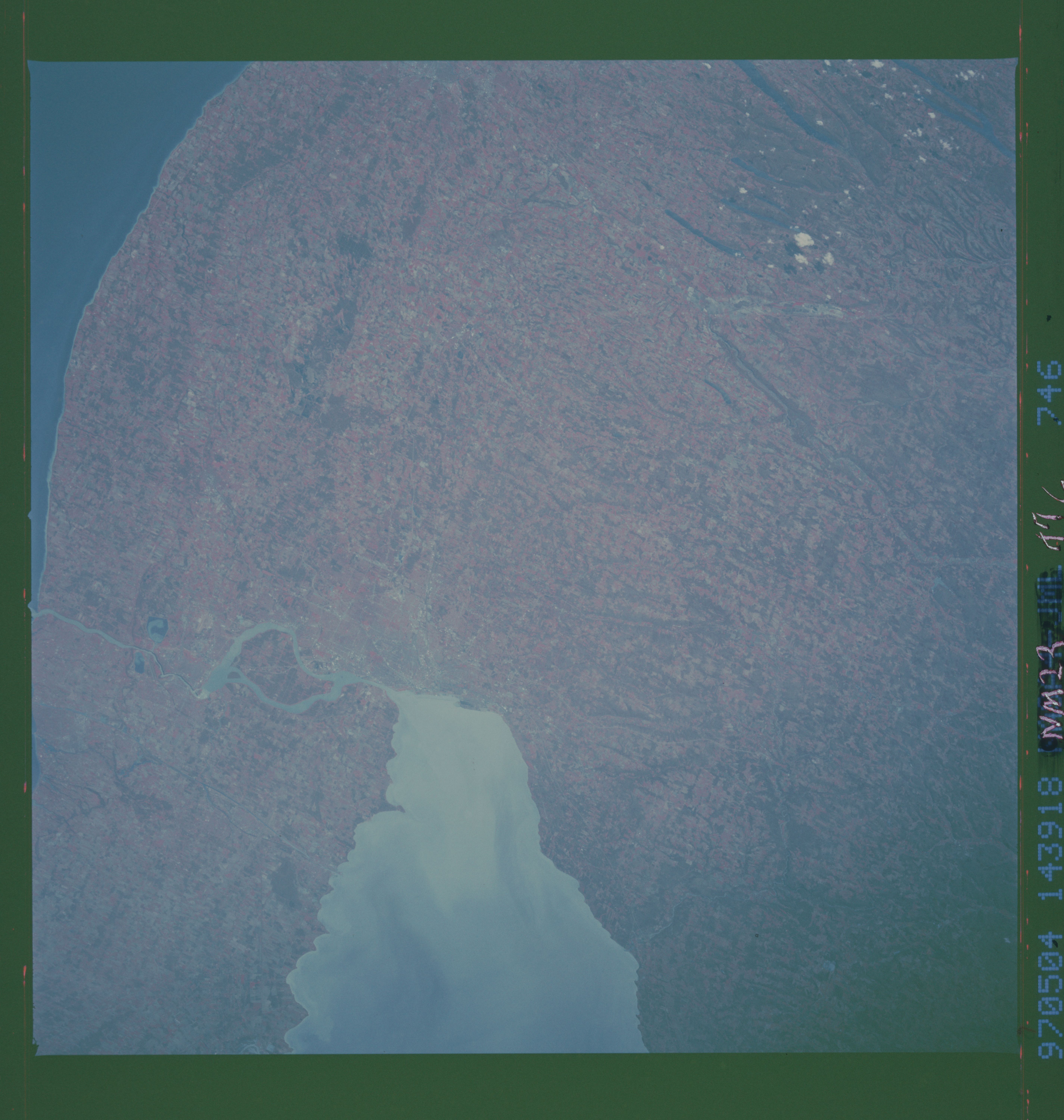 Image display