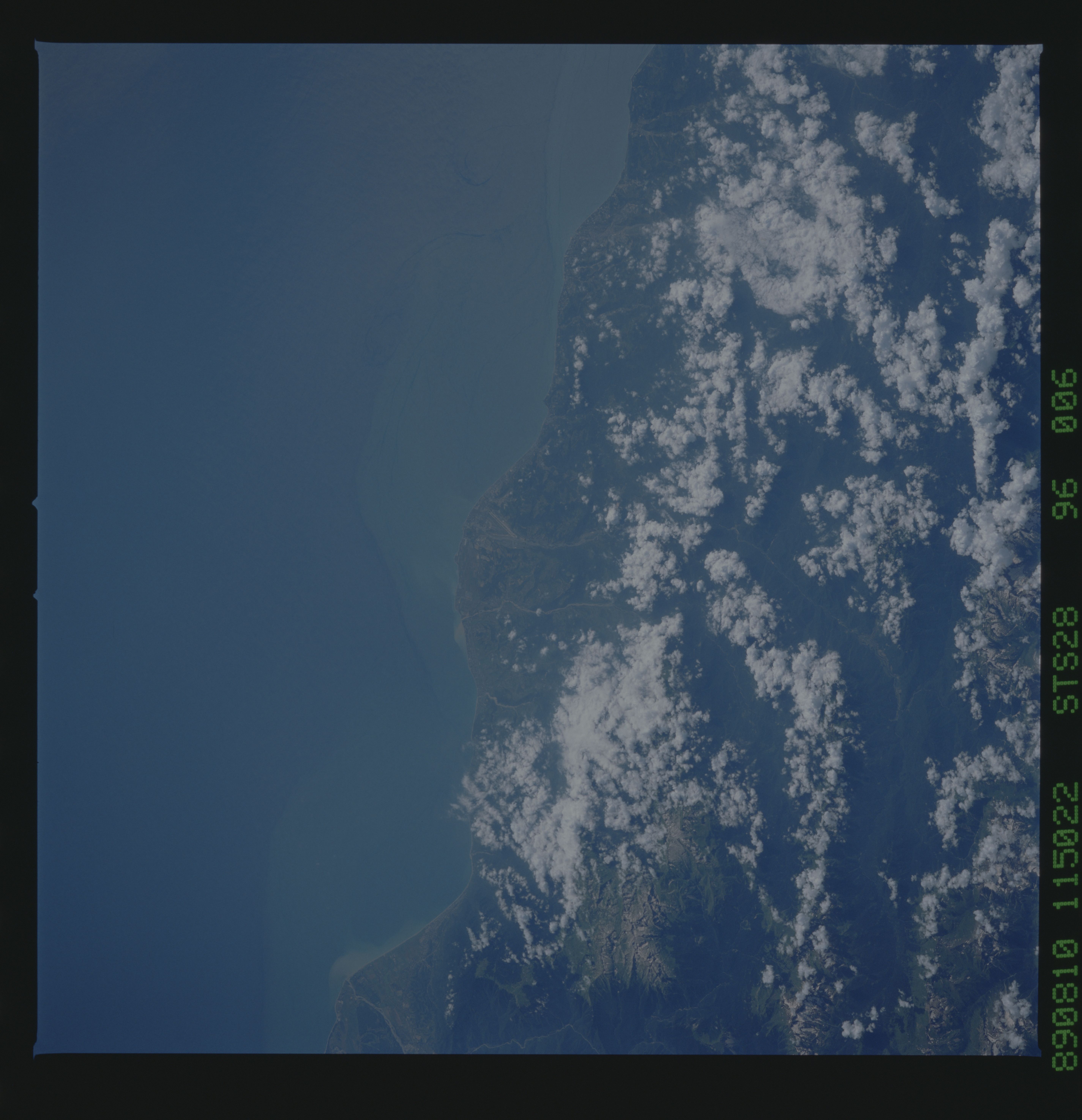 Image display